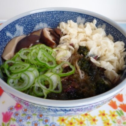 muminさん、昨日から今日のお昼はたぬき蕎麦！って決めてました(*^w^*)
今食べ終わったところです♪
干し椎茸のだしが効いて、とっても美味しかった(＾＾)